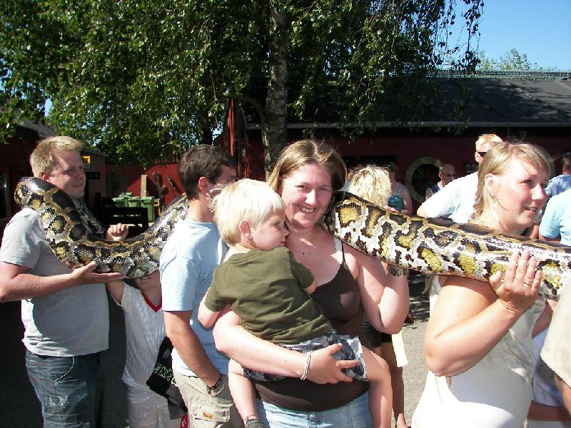 2008-06-06 129.jpg - Øj mor er modig, tør holde sådan en stor slange, jeg skal hvert fald ikke for tæt på